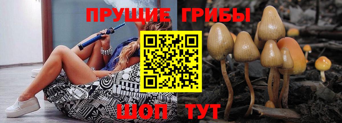 Галлюциногенные грибы Psilocybine cubensis  Вход с VPN  Галлюциногенные грибы ЛСД  Гусев 